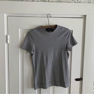 Theory Tiny Tee in Apex Stripe